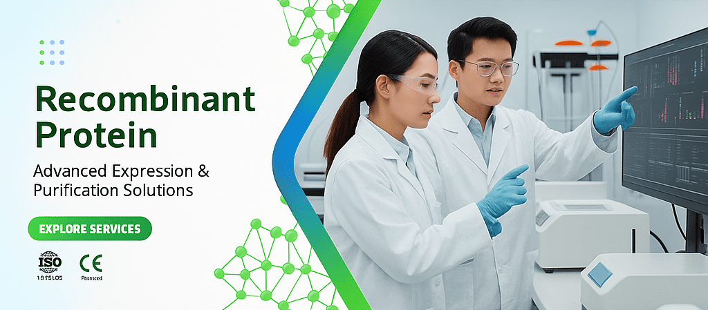 Scientists analyzing recombinant protein data